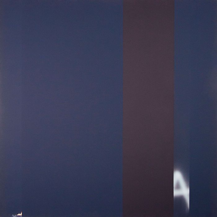 Protest Paintings, 1971 – 1980