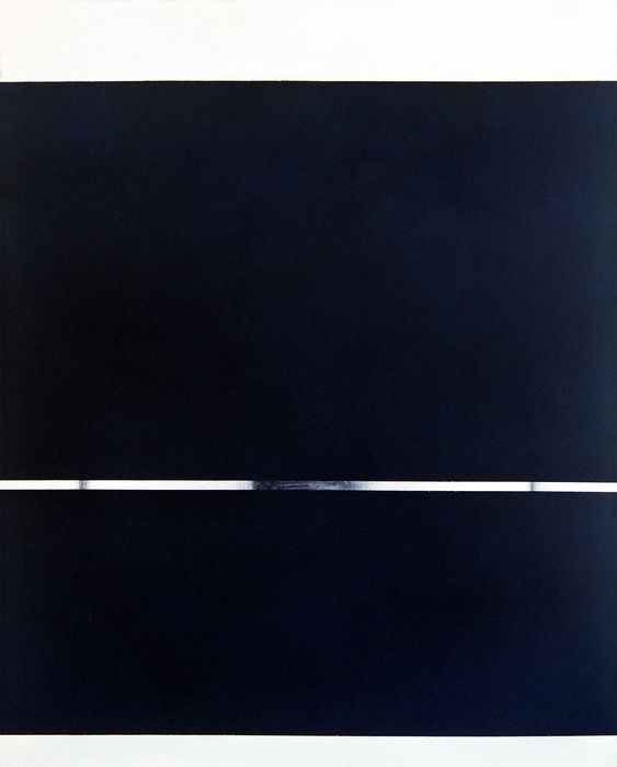 Protest Paintings, 1971 – 1980