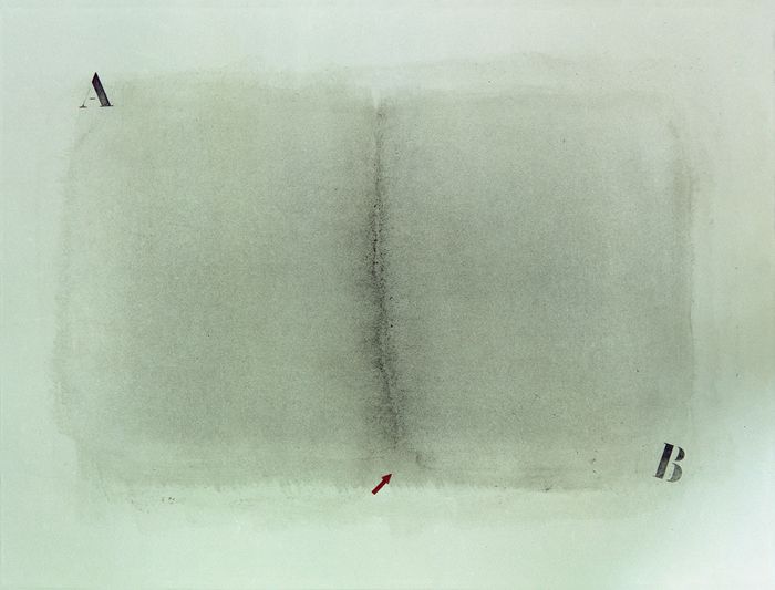 Protest Paintings, 1971 – 1980