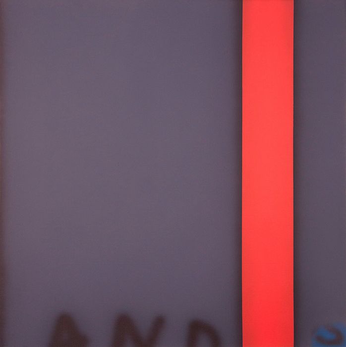 Protest Paintings, 1971 – 1980