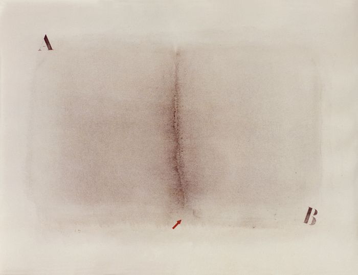 Protest Paintings, 1971 – 1980