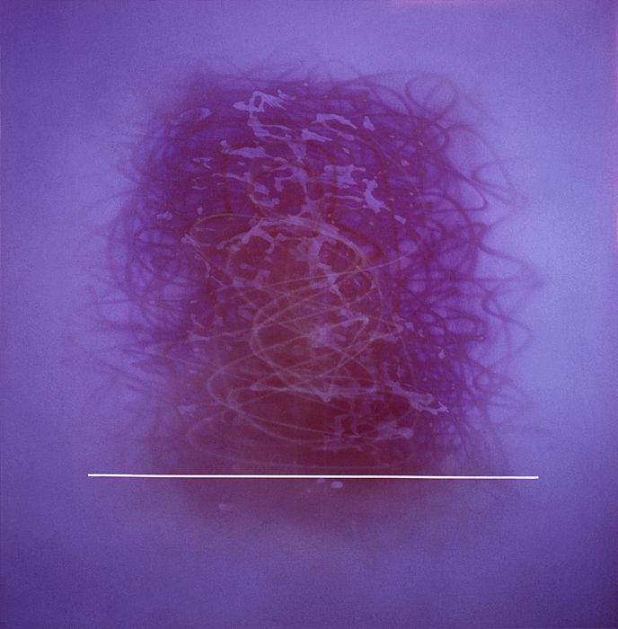 Protest Paintings, 1971 – 1980